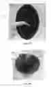 Fig. 20 - Lid for container