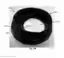 Fig. 31 - Lid for container
