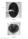 Fig. 20 - Lid for container