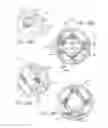 Fig. 13 - Lid for container