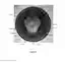 Fig. 18 - Lid for container