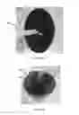 Fig. 20 - Lid for container