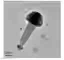 Fig. 01 - Indium oxide nanorod and manufacturing method thereof