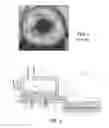 Fig. 02 - Burner for submerged combustion melting