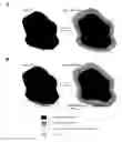 Fig. 01 - CELLULOSE NANOCRYSTAL ADDITIVES AND IMPROVED CEMENTIOUS SYSTEMS