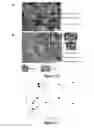 Fig. 08 - CELLULOSE NANOCRYSTAL ADDITIVES AND IMPROVED CEMENTIOUS SYSTEMS