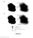 Fig. 09 - CELLULOSE NANOCRYSTAL ADDITIVES AND IMPROVED CEMENTIOUS SYSTEMS