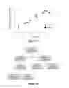 Fig. 11 - CELLULOSE NANOCRYSTAL ADDITIVES AND IMPROVED CEMENTIOUS SYSTEMS
