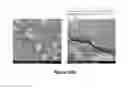 Fig. 25 - CELLULOSE NANOCRYSTAL ADDITIVES AND IMPROVED CEMENTIOUS SYSTEMS