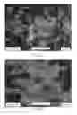 Fig. 03 - Compositions of urea formaldehyde particles and methods of making thereof
