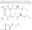 Fig. 52 - Methods for the synthesis of sphingomyelins and dihydrosphingomyelins