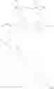Fig. 04 - VIVO GELLING PHARMACEUTICAL PRE-FORMULATION