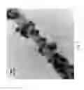 Fig. 07 - Thiolation method for modifying carbon nanotubes