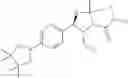 Fig. 18 - Phenicol antibacterial agents
