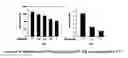 Fig. 02 - Synthetic analogues of xanthohumol