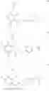 Fig. 21 - Synthetic analogues of xanthohumol