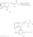 Fig. 11 - Arylalkylamine compounds as calcium sensing receptor modulators