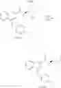 Fig. 11 - QUINOLINE AMIDE M1 RECEPTOR POSITIVE ALLOSTERIC MODULATORS