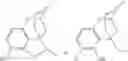 Fig. 05 - 4-HYDROXYBENZOMORPHANS
