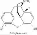 Fig. 10 - 4-HYDROXYBENZOMORPHANS