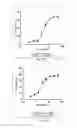 Fig. 03 - Cyclophilin D inhibitors