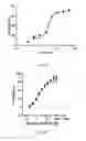 Fig. 04 - Cyclophilin D inhibitors