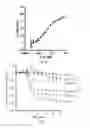 Fig. 05 - Cyclophilin D inhibitors