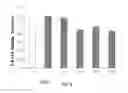 Fig. 07 - Cyclophilin D inhibitors