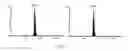 Fig. 13 - Cyclophilin D inhibitors