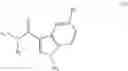 Fig. 04 - α7 nicotinic acetylcholine receptor modulators and uses thereof-III