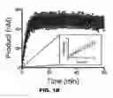 Fig. 03 - POLYMERASE, ENDONUCLEASE, AND HELICASE INHIBITORS AND METHODS OF USING THEREOF