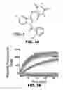 Fig. 06 - POLYMERASE, ENDONUCLEASE, AND HELICASE INHIBITORS AND METHODS OF USING THEREOF