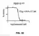 Fig. 07 - POLYMERASE, ENDONUCLEASE, AND HELICASE INHIBITORS AND METHODS OF USING THEREOF
