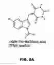 Fig. 09 - POLYMERASE, ENDONUCLEASE, AND HELICASE INHIBITORS AND METHODS OF USING THEREOF