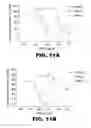 Fig. 17 - POLYMERASE, ENDONUCLEASE, AND HELICASE INHIBITORS AND METHODS OF USING THEREOF