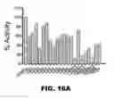 Fig. 24 - POLYMERASE, ENDONUCLEASE, AND HELICASE INHIBITORS AND METHODS OF USING THEREOF