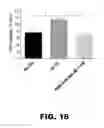 Fig. 28 - POLYMERASE, ENDONUCLEASE, AND HELICASE INHIBITORS AND METHODS OF USING THEREOF