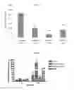 Fig. 02 - Fluorinated integrin antagonists