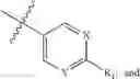Fig. 13 - Fluorinated integrin antagonists