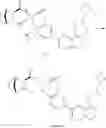 Fig. 27 - Substituted spirocycles