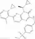 Fig. 162 - COMPOUNDS AS MODULATORS OF ROR GAMMA