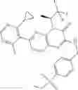 Fig. 181 - COMPOUNDS AS MODULATORS OF ROR GAMMA