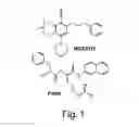 Fig. 02 - Antimicrobial potentiators