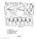 Fig. 03 - Antimicrobial potentiators