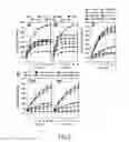 Fig. 04 - Antimicrobial potentiators