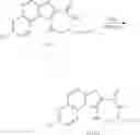 Fig. 262 - MK2 inhibitors and uses thereof