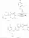 Fig. 266 - MK2 inhibitors and uses thereof