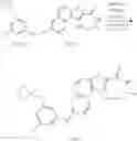 Fig. 354 - MK2 inhibitors and uses thereof