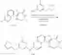 Fig. 362 - MK2 inhibitors and uses thereof
