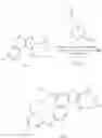 Fig. 365 - MK2 inhibitors and uses thereof